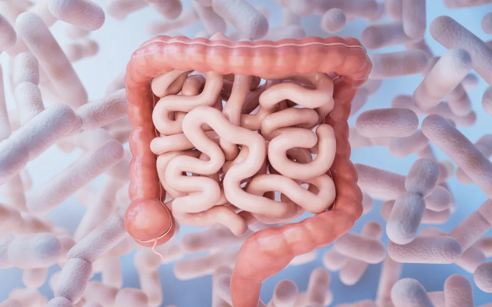Reconexión del tránsito intestinal en Tlalnepantla